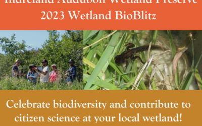 2023 Wetland BioBlitz July 20-23