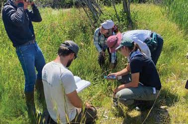 Wetlands Naturalist Program Series at the IAWP