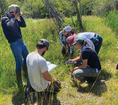 Wetlands Naturalist Program Series at the IAWP