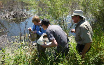 2024 Wetland BioBlitz | July 19-21