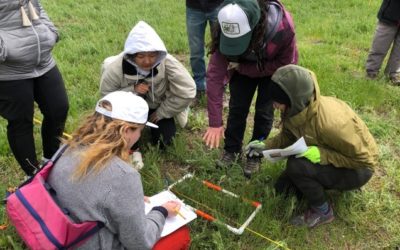 Beyond Chemicals: A Hands-On Biocontrol Workshop