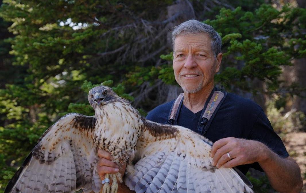 Picture of Steve Hoffman holding a raptor.