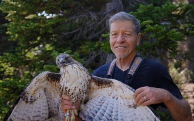 Wildlife Trivia: Raptors with Steve Hoffman