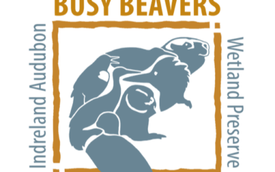 Busy Beaver Volunteer Orientation – June 1, 2026
