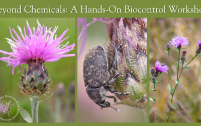 Tomorrow! Beyond Chemicals: A Hands-On Biocontrol Workshop