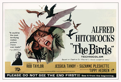 Hitchcock's The Birds